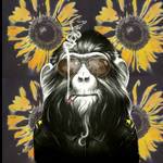 nthingtolose Avatar