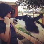 beckyd Avatar